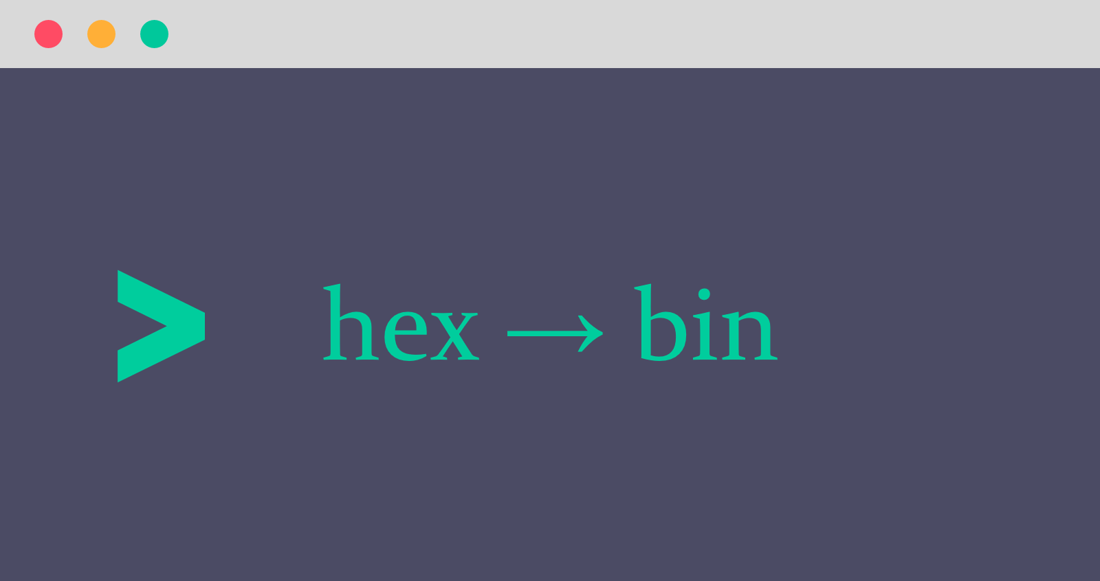 Binary Hexadecimal Image